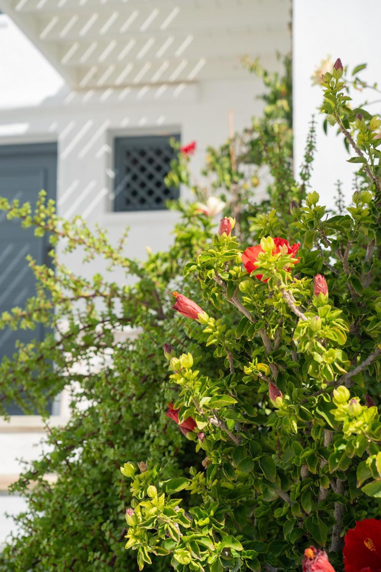 5 Traditional Suites Livadi  Buitenkant foto